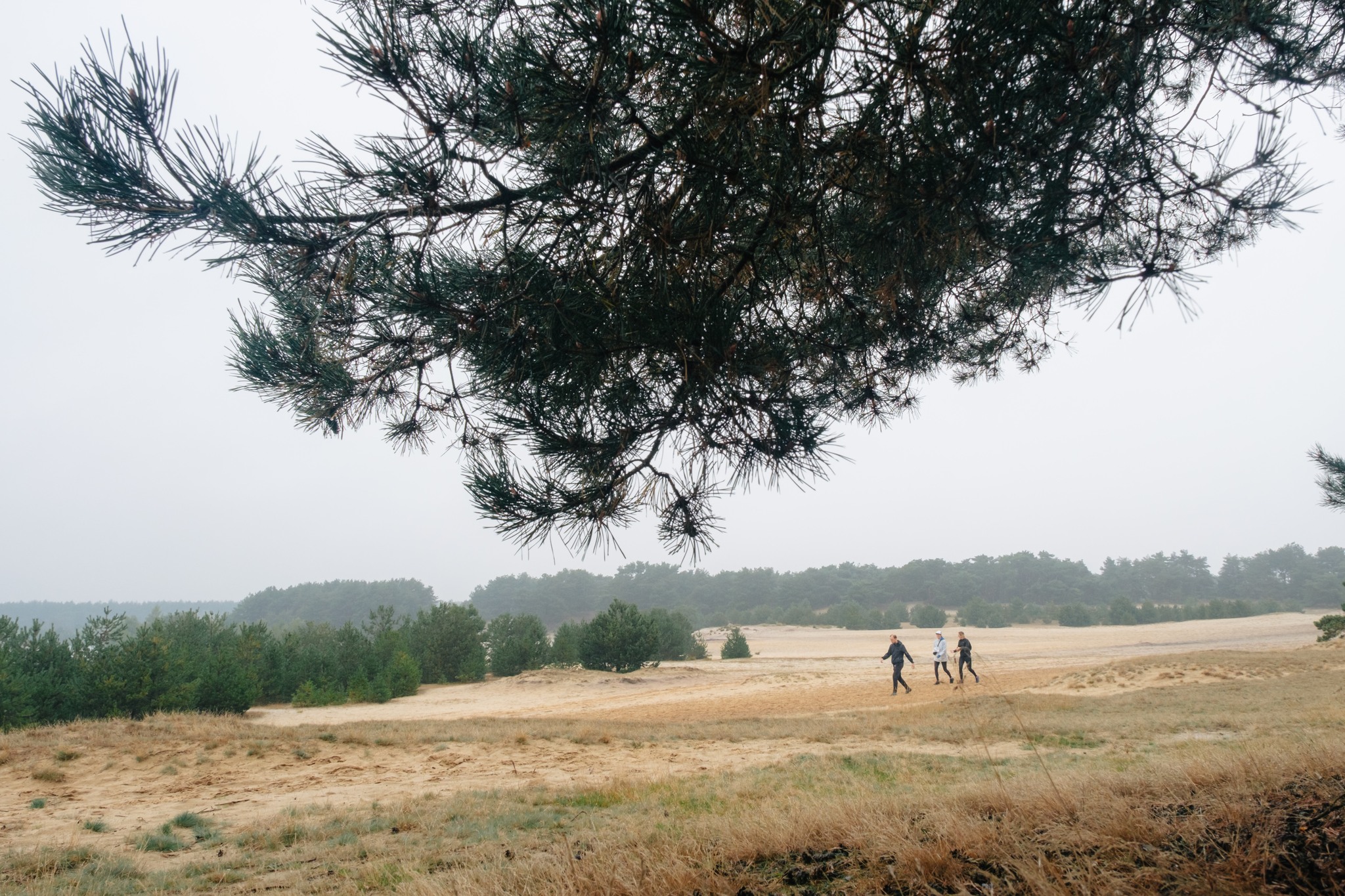 Bosland Trail