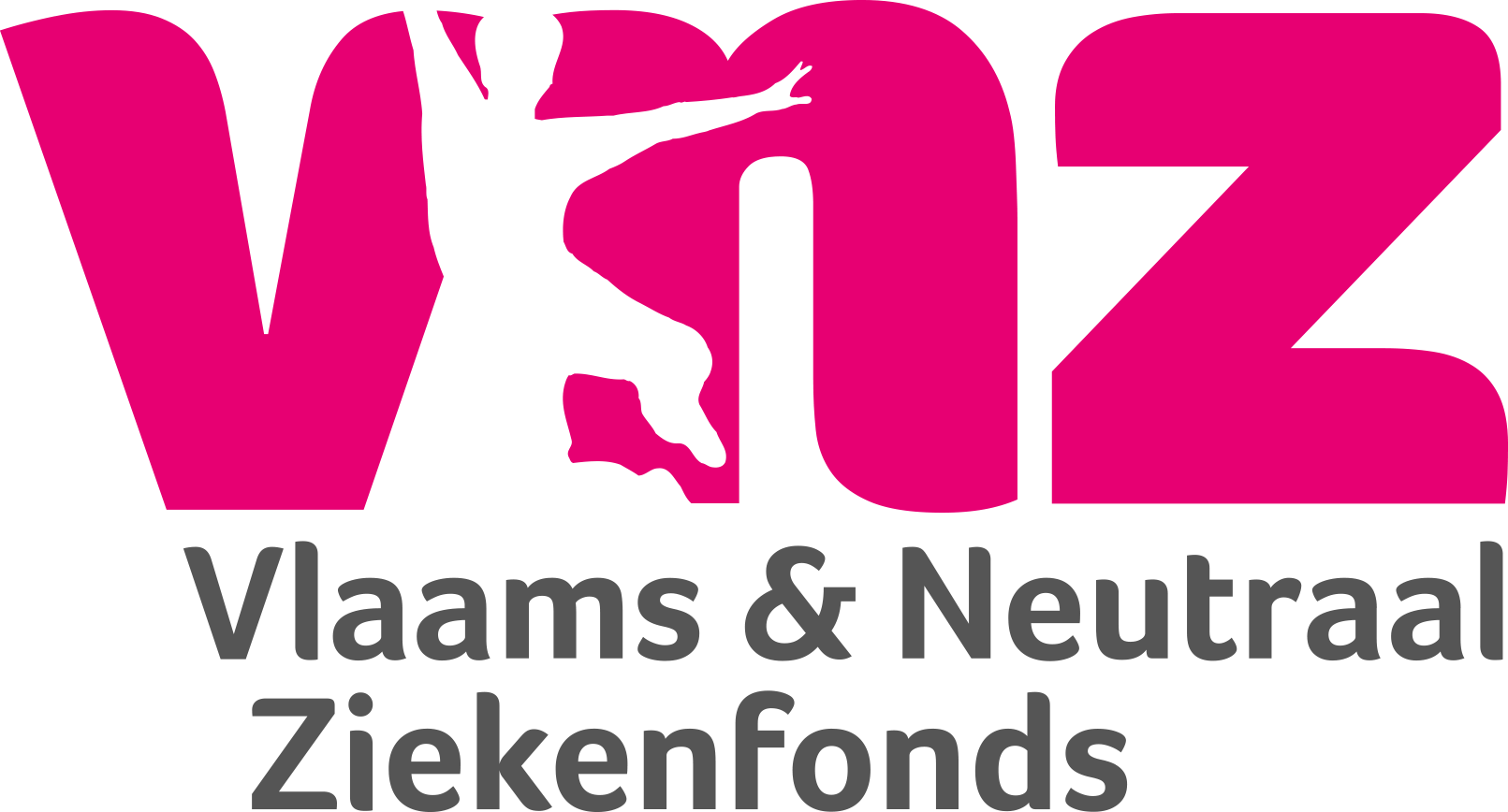 Flemish Neutral Health Insurance Fund